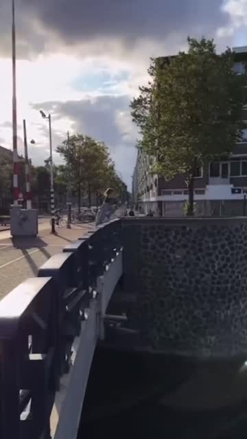 River Jump video hook